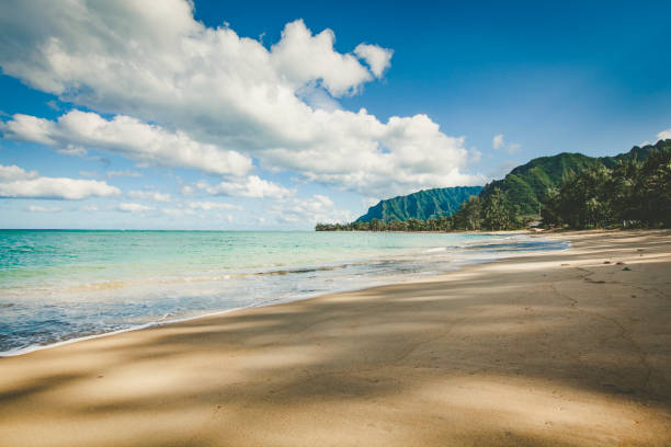 istock oahu island beach, hawaii islands 1027816556