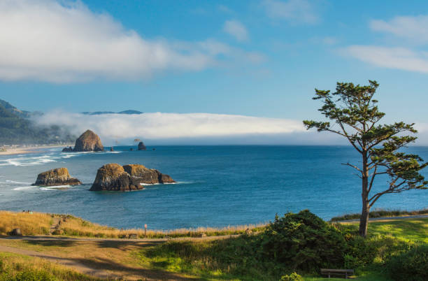 istock Haystack Rock with fog behind it as seen from viewpoint 1027819584