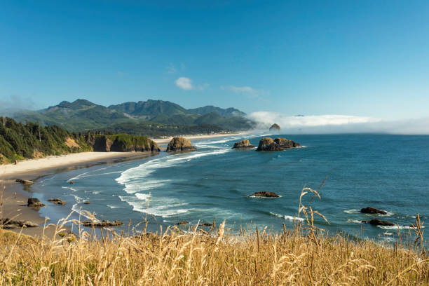 istock Cannon Beach and Haystack Rock with fog bank behind it 1027819624