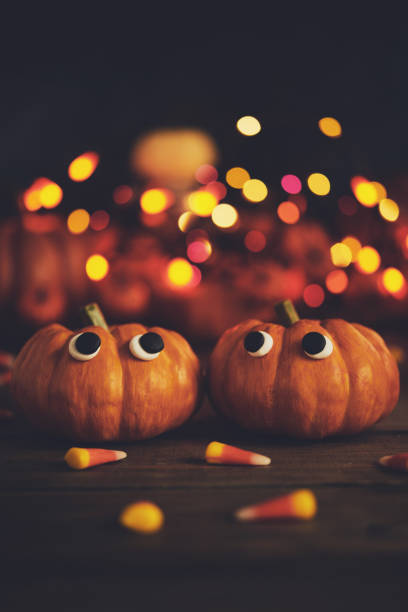 istock Cute pumpkin character twins with handmade expression and holiday lights 1027819920