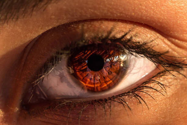 istock Beautiful eye closeup 1027822760
