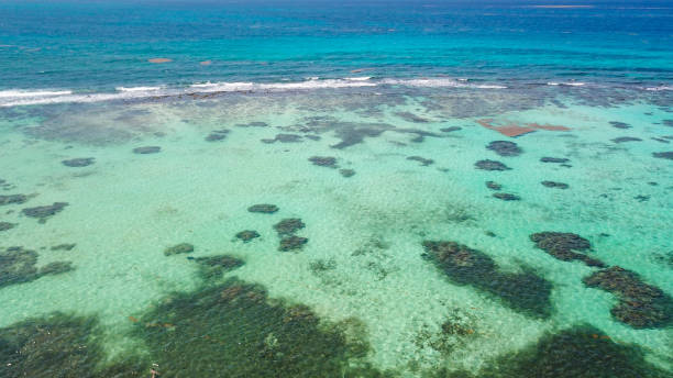 istock A big coral reef in the sea. View from drone 1027829128
