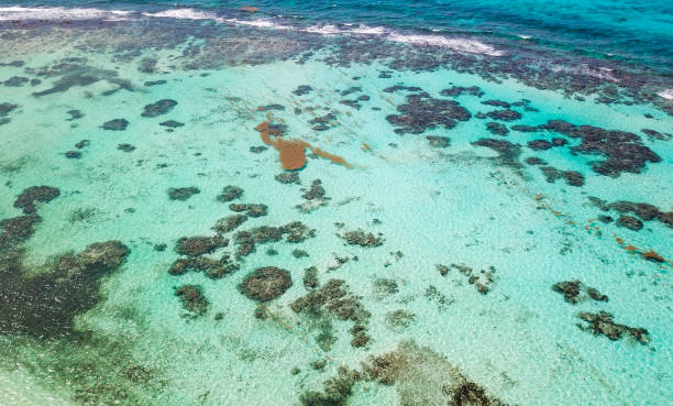 istock A big coral reef in the sea. View from drone 1027829236