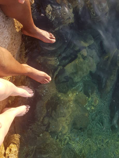 istock Brown&white Feet &  green water 1027830138