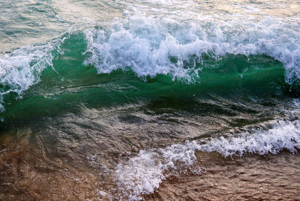 un'onda verde brillante del lago michigan. acqua limpida. schiuma bianca sulla cresta dell'onda. - cresta dellonda foto e immagini stock