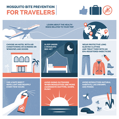 Mosquito bite prevention advices for travelers, vector infographic