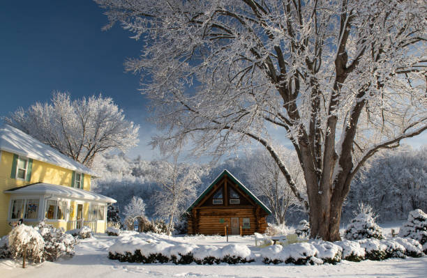 istock An Early Winter Wonderland Morning 1027851018