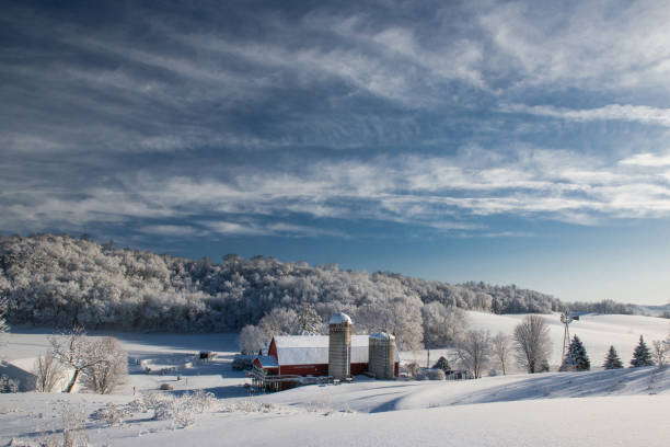 A calm winter morning in the countryside with snow covered trees and a farm in the distance