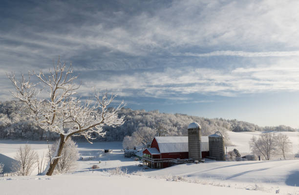 istock An Early Winter Wonderland Morning 1027851036
