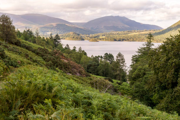 istock Landscape of English Lake District 1027851312