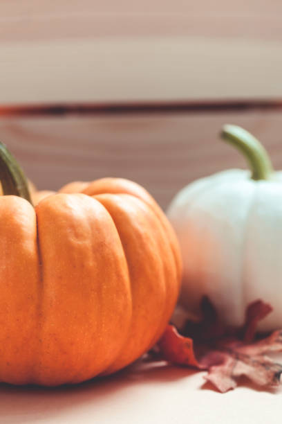 istock Autumn orange and white pumpkins 1027854866