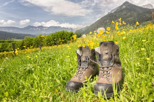 hiking boots on a meadow