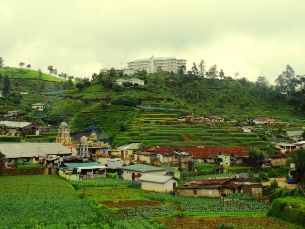 istock Sri Lanka Village and Tea Factory 1027855836