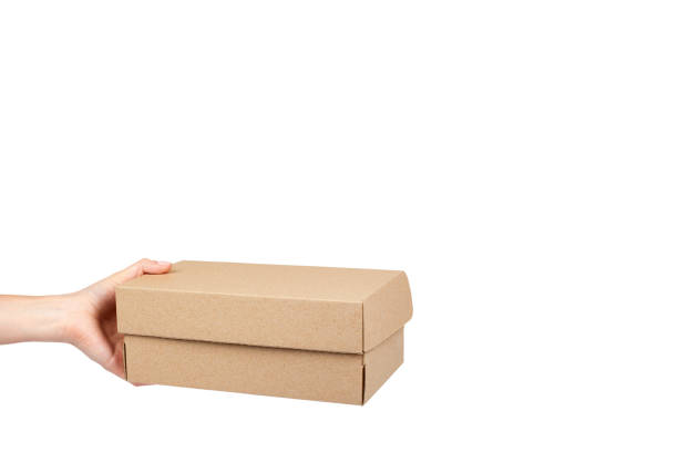 istock Brown cardboard box for packaging and delivery, isolated on white background, copy space template 1027865078