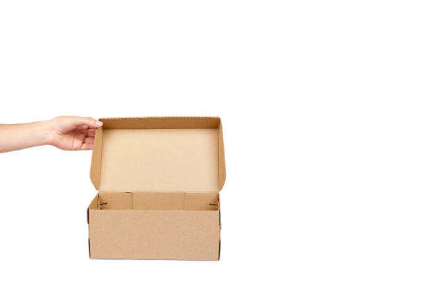istock Brown cardboard box for packaging and delivery, isolated on white background, copy space template 1027865108