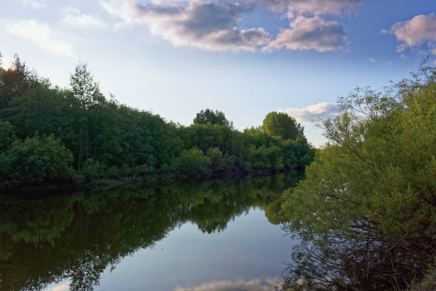 istock Summer landscape trees reflected in the mirror of the river 1027869236