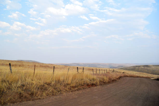 Fence Fences in a rolling hill landscape. fence3 stock pictures, royalty-free photos & images