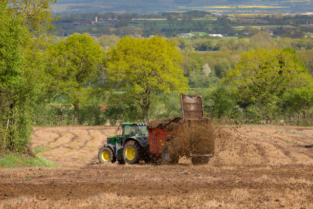 agriculteur travaillant avec un épandeur de fumier pour fertiliser sa terre - spreader photos et images de collection