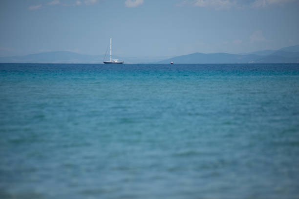 Sailing boat in horizon sea as background