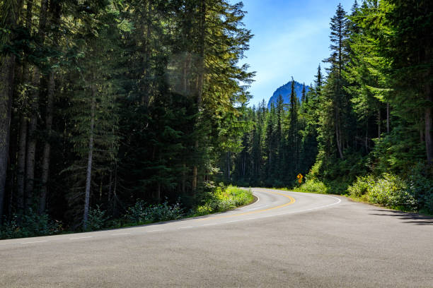 istock Mount Rainier Road to Paradise 1027886184