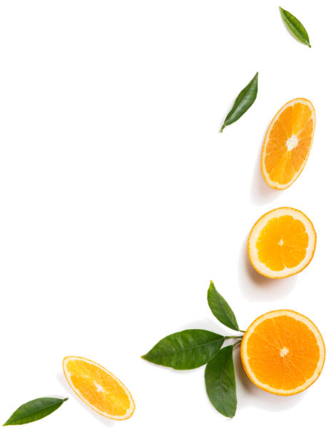 istock Leaves and fruits of orange tree. 1027888926
