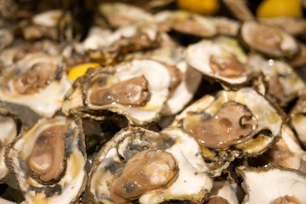 おいしい新鮮なカキ氷にクローズ アップ。生牡蠣は、栄養、カルシウム、カリウム、マグネシウム、ビタミンおよび鉱物で高い満載します。 - prepared oysters prepared shellfish shucked seafood ストックフォトと画像