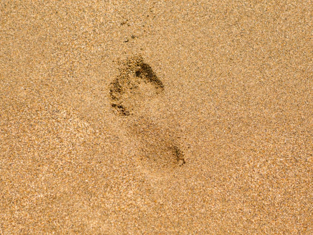 istock Sand background Footprint 1027895622