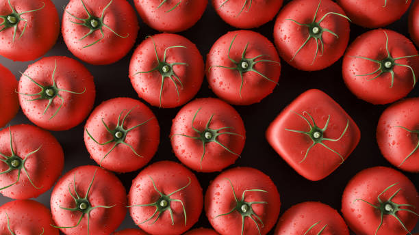 トマト キューブ、3 d レンダリングの異なる概念である、 - 遺伝子組み換え ストックフォトと画像