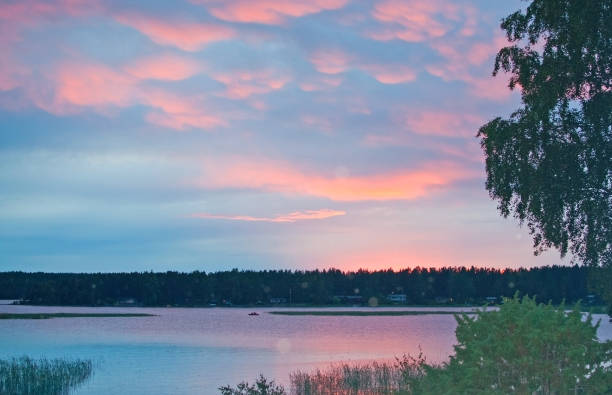 istock Peaceful pink sunset by a lake with birch tree 1027916882