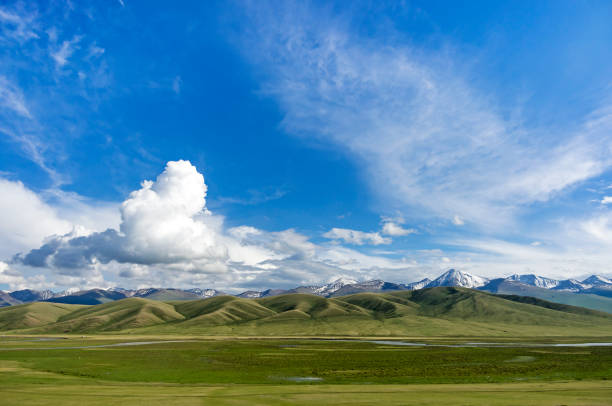 grasslands Grassland with blue sky independent mongolia stock pictures, royalty-free photos & images