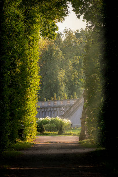 istock A Green Alley with Sun Light and Fog Atmosphere 1027933094