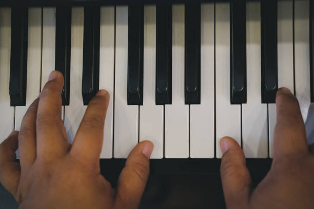 istock pianist man's hand playing piano. performer & classic music instrument 1027943510