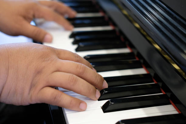 istock pianist man's hand playing piano. performer & classic music instrument 1027943512