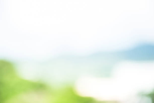istock Abstract simple clean natural blur white green bokeh background 1027945622