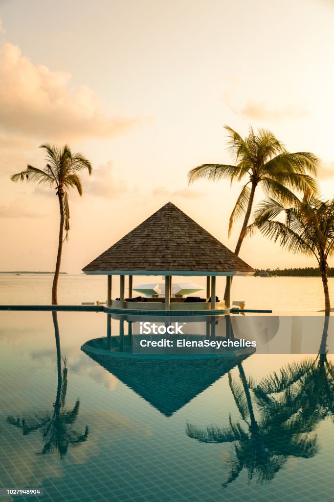 Cafe Bar et piscine sur une plage tropicale, entourée de palmiers en début de matinée - voyage fond, composition verticale - Photo de Maldives libre de droits