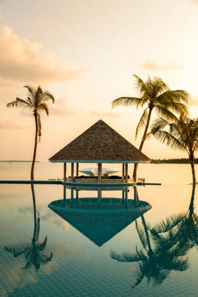 Bar Cafe and pool on a tropical beach, surrounded by palm trees in early morning  - travel background, vertical composition stock photo