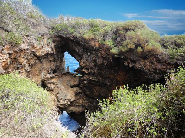 double grotte, saipan - îles mariannes du nord photos et images de collection