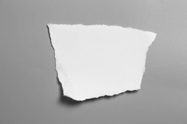 istock white torn paper on gray background. collection paper rip 1027969076