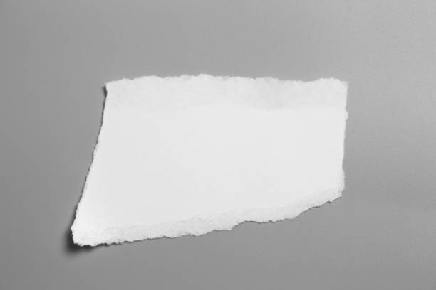 istock white torn paper on gray background. collection paper rip 1027969354