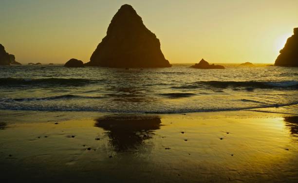 istock Whale's Head Golden Beach 1027982690