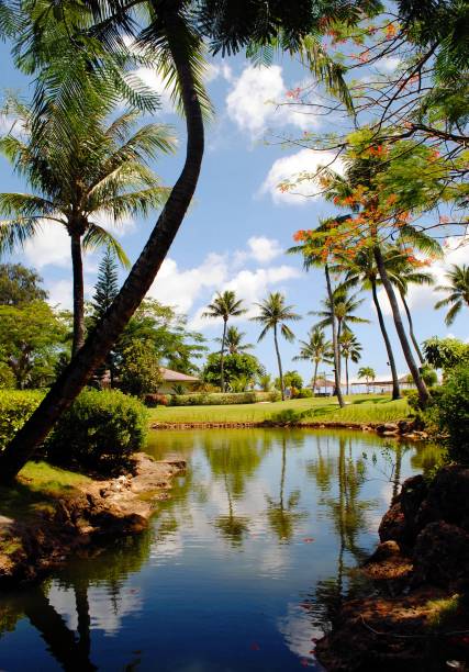 istock Landscaped garden with stream 1027988146