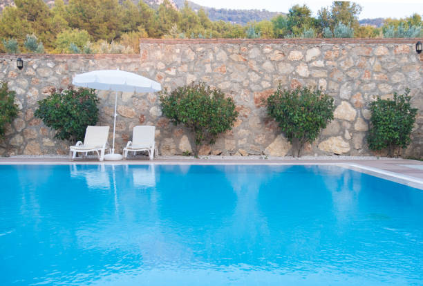 istock luxury villa, garden and swimming pool 1027994316
