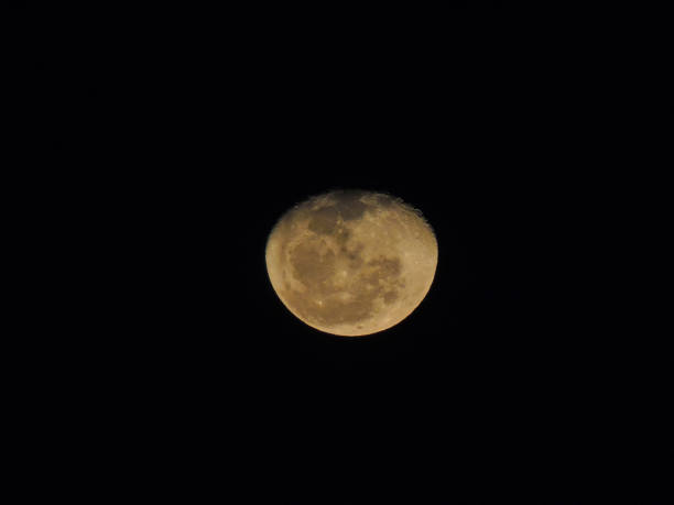 Photograph of the moon in a golden color, almost full, in a clear night sky.