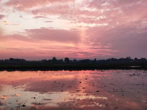 istock Sunrise at the ricefield 1027999856