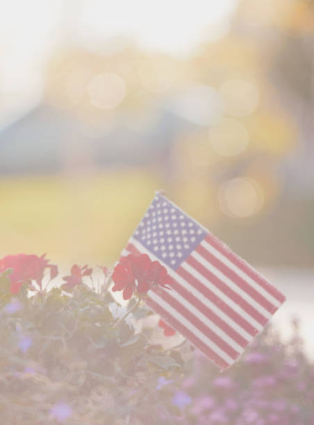 istock American flag in nature with warm sunlight 1028005868