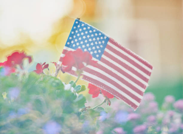 istock American flag in nature with warm sunlight 1028005874