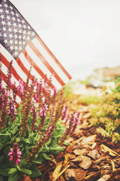 istock American flag in nature with warm sunlight 1028005948