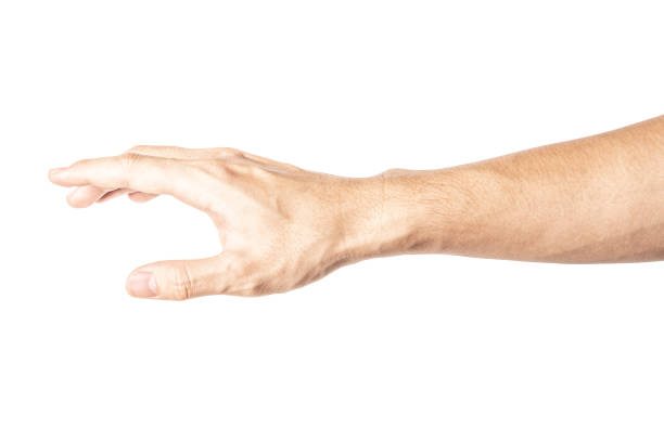 istock Hand open and ready to help or receive. Gesture isolated on white background with clipping path. 1028008740