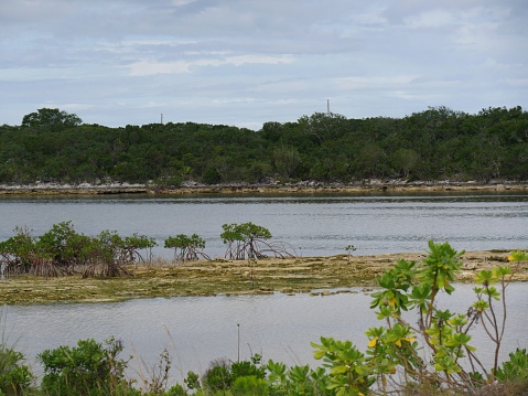 Islets of water along a coastal road in a tropical island