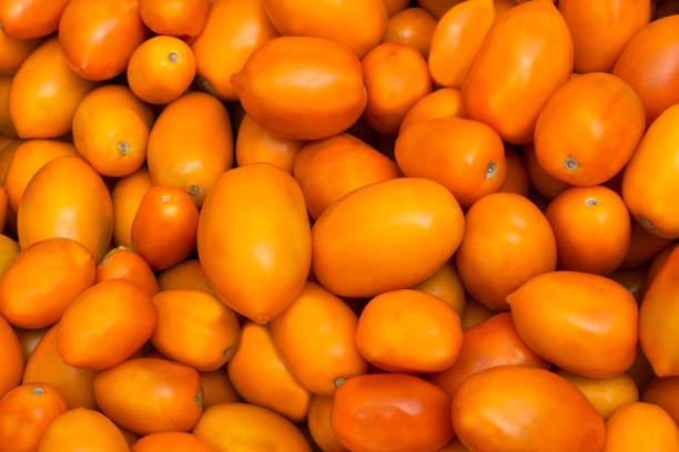istock Healthy lifestyle concept with yellow tomato 1028015284